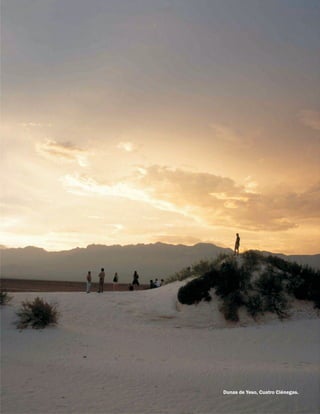 Dunas de Yeso, Cuatro Ciénegas.
 