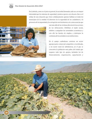 20
En Coahuila, como en el país en general, la sociedad demanda cada vez con mayor
intensidad que los sistemas de seguridad y justicia operen con eficacia. Esto es el
reflejo de una situación que viven cotidianamente quienes habitan en todos los
municipios de la entidad. El deterioro de la seguridad de los ciudadanos y la
presencia de la impunidad y la corrupción son fenómenos con consecuencias que
van más allá de las víctimas directas de las acciones
de los delincuentes. Debilitan el tejido social,
inhiben o aniquilan las actividades económicas y
con ello las fuentes de empleo, y destruyen la
confianzadelasociedadensusinstituciones.
En el campo coahuilense conviven un sector
agropecuario-comercial competitivo y tecnificado,
y un sector rural de subsistencia, en el que se
concentra la población más pobre del estado que
requiere todo tipo de apoyos, incluidos los de
financiamiento, organización, capacitación y
 