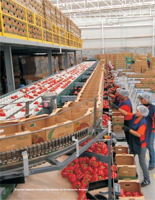 Empresa Vallealto Produce, San Antonio de las Alazanas, Arteaga.
 