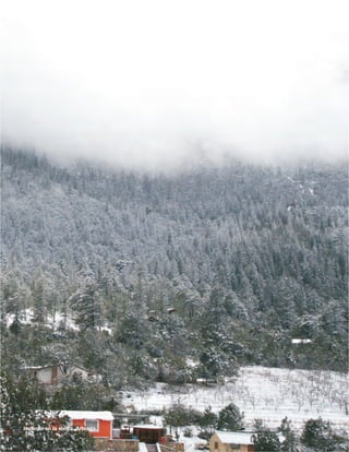 Invierno en la sierra, Arteaga.
 