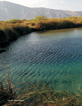 Poza Azul, Cuatro Ciénegas.
 