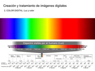 Creaci ón y tratamiento de imágenes digitales 2. COLOR DIGITAL: Luz y color 