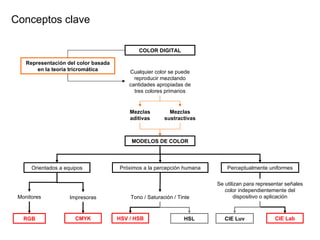 Conceptos clave CIE Luv CIE Lab MODELOS DE COLOR Orientados a equipos Pr óximos a la percepción humana Impresoras Monitores Perceptualmente uniformes RGB CMYK HSL HSV / HSB Tono / Saturaci ón / Tinte Se utilizan para representar señales color independientemente del dispositivo o aplicaci ón COLOR DIGITAL Mezclas sustractivas Mezclas aditivas Cualquier color se puede reproducir mezclando cantidades apropiadas de tres colores primarios Representaci ón del color basada en la teoría tricromática 