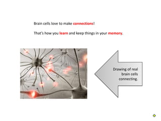 Brain cells love to make connections!

That’s how you learn and keep things in your memory.




                                              Drawing of real
                                                  brain cells
                                                 connecting.
 