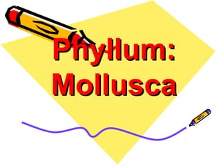 Phyllum:
Mollusca
 