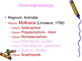 Класификација

• Regnum: Animalia
• Phylum. Mollusca (Linnaeus, 1758)
  – Classis:   Aplacophora
  –   Classis: Polyplacophora - hitoni
  –   Classis: Monoplacophora
  –   Classis: Gastropoda - puževi
  –   Classis: Cephalopoda - glavonošci
  –   Classis: Bivalvia - školjke
  –   Classis: Scaphopoda
 