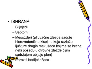 • ISHRANA
 – Biljojedi
 – Saptofiti
 – Mesožderi (pljuvačne žlezde sadrže
   hlorovodoničnu kiselinu koja razlaže
   ljušture drugih mekušaca kojima se hrane;
   neki poseduju otrovne žlezde čijim
   sadržajem ubijaju plen)
 – Paraziti bodljokožaca
 
