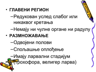 • ГЛАВЕНИ РЕГИОН
 – Редукован услед слабог или
   никаквог кретања
 – Немају ни чулне органе ни радулу
• РАЗМНОЖАВАЊЕ
 – Одвојени полови
 – Спољашње оплођење
 – Имају ларвални стадијум
   (трохофора, велигер ларва)
 