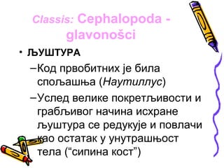 Classis:Cephalopoda -
       glavonošci
• ЉУШТУРА
 – Код првобитних је била
   спољашња (Наутиллус)
 – Услед велике покретљивости и
   грабљивог начина исхране
   љуштура се редукује и повлачи
   као остатак у унутрашњост
   тела (“сипина кост”)
 