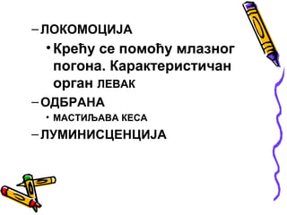 – ЛОКОМОЦИЈА
 • Крећу се помоћу млазног
   погона. Карактеристичан
   орган ЛЕВАК
– ОДБРАНА
 • МАСТИЉАВА КЕСА
– ЛУМИНИСЦЕНЦИЈА
 