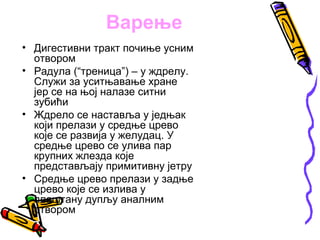 Варење
• Дигестивни тракт почиње усним
  отвором
• Радула (“треница”) – у ждрелу.
  Служи за уситњавање хране
  јер се на њој налазе ситни
  зубићи
• Ждрело се наставља у једњак
  који прелази у средње црево
  које се развија у желудац. У
  средње црево се улива пар
  крупних жлезда које
  представљају примитивну јетру
• Средње црево прелази у задње
  црево које се излива у
  плаштану дупљу аналним
  отвором
 