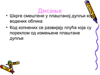 Дисање
• Шкрге смештене у плаштаној дупљи код
  водених облика
• Код копнених се развијају плућа која су
  пореклом од измењене плаштане
  дупље
 