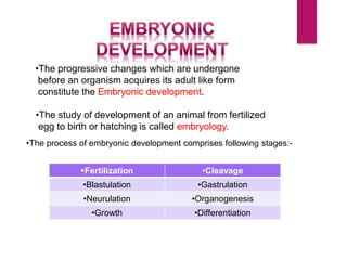 •The progressive changes which are undergone
before an organism acquires its adult like form
constitute the Embryonic development.
•The study of development of an animal from fertilized
egg to birth or hatching is called embryology.
•The process of embryonic development comprises following stages:-
Fertilization •Cleavage
•Blastulation •Gastrulation
•Neurulation •Organogenesis
•Growth •Differentiation
 
