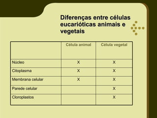 Diferenças entre células eucarióticas animais e vegetais X Cloroplastos X Parede celular X X Membrana celular X X Citoplasma X X Núcleo Célula vegetal Célula animal 