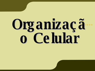 Organização Celular 