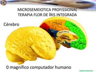 . 
Dr. Clodoaldo Pacheco 
Cérebro 
0 magnífico computador humano 
TERAPIA FLOR DE ÍRIS® 
MICROSEMEIOTICA PROFISSIONAL 
TERAPIA FLOR DE ÍRIS INTEGRADA 
 