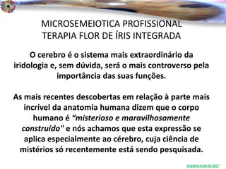Dr. Clodoaldo Pacheco

                                                                          .

                 MICROSEMEIOTICA PROFISSIONAL
                 TERAPIA FLOR DE ÍRIS INTEGRADA
     O cerebro é o sistema mais extraordinário da
iridologia e, sem dúvida, será o mais controverso pela
             importância das suas funções.

As mais recentes descobertas em relação à parte mais
   incrível da anatomia humana dizem que o corpo
      humano é “misterioso e maravilhosamente
  construído" e nós achamos que esta expressão se
   aplica especialmente ao cérebro, cuja ciência de
 mistérios só recentemente está sendo pesquisada.
                                                  TERAPIA FLOR DE ÍRIS®
 