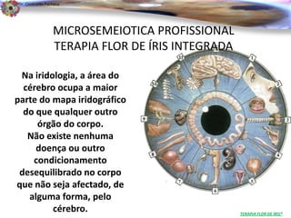 Dr. Clodoaldo Pacheco

                                                                          .

                 MICROSEMEIOTICA PROFISSIONAL
                 TERAPIA FLOR DE ÍRIS INTEGRADA

 Na iridologia, a área do
  cérebro ocupa a maior
parte do mapa iridográfico
  do que qualquer outro
     órgão do corpo.
   Não existe nenhuma
     doença ou outro
    condicionamento
 desequilibrado no corpo
que não seja afectado, de
   alguma forma, pelo
         cérebro.                                 TERAPIA FLOR DE ÍRIS®
 