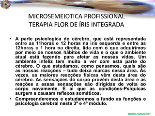 Dr. Clodoaldo Pacheco

                                                                          .

                 MICROSEMEIOTICA PROFISSIONAL
                 TERAPIA FLOR DE ÍRIS INTEGRADA
• A parte psicologica do cérebro, que está representada
  entre as 11horas e 12 horas na irís esquerda e entre as
  12horas e 1 hora na direita, lida com o que adquirimos
  por meio de nossos hábitos de vida e o que o ambiente
  atual está fazendo para afetar as nossas vidas. Um
  ambiente infeliz tem muito a ver com esta parte do
  cérebro. O que estudamos, como pensamos, quais são
  as nossas reacções – tudo deixa marcas nessa área. Ás
  vezes, as maiores reacções físicas vêm desta área do
  cérebro. As sensações do corpo provêm desta área e as
  reações a essas sensações são dirigidas de volta ao
  corpo novamente. É aí que as condições-Psíquicas
  surgem e causam reflexos somáticos.
• Compreenderemos e estudaremos a fundo as funções e
  psicologia cerebral neste 3º e 4º módulo.

                                                  TERAPIA FLOR DE ÍRIS®
 