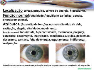 Dr. Clodoaldo Pacheco

                                                                                                            .

Localização: córtex, psíquico, centro de energia, hipotálamo.
Função normal: Vitalidade / equilíbrio da fadiga, apetite,
energia emocional.
Atributos: (Extensão de funções normais) Sentido da vida,
excitação, alegria, vitalidade, movimento.
Função anormal: Inquietude, hiperactividade, melancolia, preguiça,
estupidez, abatimento, inatividade, tendências suicidas, depressão,
desespero, cansaço, falta de energia, esgotamento, indiferença,
resignação.




Estas fotos representam o centro de animação vital que se pode observar através das íris esquerdas.
                                                                                    TERAPIA FLOR DE ÍRIS®
 
