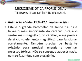 Dr. Clodoaldo Pacheco

                                                                          .

                 MICROSEMEIOTICA PROFISSIONAL
                 TERAPIA FLOR DE ÍRIS INTEGRADA

• Animação e Vida (11.9 -12.1, ambas as íris).
• Este é o grande barômetro da saúde na íris e
  talvez o mais importante do cérebro. Este é o
  centro mais magnético no cérebro, e ele precisa
  de silício (o elemento magnético) para funcionar
  corretamente. Também precisa de bastante
  oxigênio para produzir energia e queimar
  excessos tóxicos. Não se consegue aquecer nada,
  nem se fazer fogo sem o oxigênio.
                                                  TERAPIA FLOR DE ÍRIS®
 