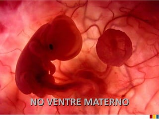 NO VENTRE MATERNO
 