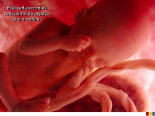 Está cada vez mais
consciente do espaço
    que o rodeia.
 