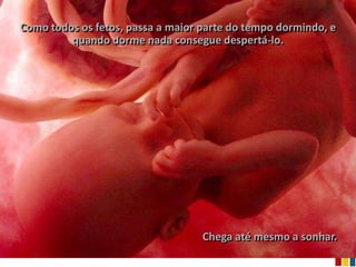 Como todos os fetos, passa a maior parte do tempo dormindo, e
         quando dorme nada consegue despertá-lo.




                                   Chega até mesmo a sonhar.
 