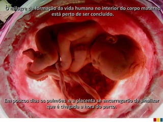 O milagre da formação da vida humana no interior do corpo materno
                   está perto de ser concluído.




Em poucos dias os pulmões e a placenta se encarregarão de sinalizar
                  que é chegada a hora do parto.
 
