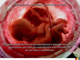 O bebé dorme, tranquilo, no ventre de sua mãe.




Não sabe que dentro em breve abandonará a placidez de sua “casa”
      para passar por uma das experiências mais traumáticas
                    de sua vida: o nascimento.
 