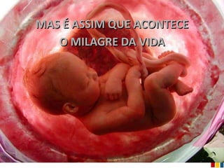 MAS É ASSIM QUE ACONTECE
   O MILAGRE DA VIDA
 