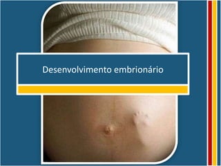 Desenvolvimento embrionário
 