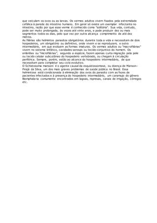 que veiculam os ovos ou as larvas. Os vermes adultos vivem fixados pela extremidade
cefálica à parede do intestino humano. Em geral só existe um exemplar infectante no
intestino, razão por que esse verme é conhecido como "solitária". Sua vida, contudo,
pode ser muito prolongada, às vezes até vinte anos, e pode produzir dez ou mais
segmentos todos os dias, pelo que vez por outra alcança comprimento de até dez
metros.
As filárias são helmintos parasitos obrigatórios durante toda a vida e necessitam de dois
hospedeiros, um obrigatório ou definitivo, onde vivem e se reproduzem, e outro
intermediário, em que evoluem as formas imaturas. Os vermes adultos ou "macrofilárias"
vivem no sistema linfático, cavidades serosas ou tecido conjuntivo do homem. Os
embriões ou "microfilárias", segundo a espécie, fazem apenas curta migração pela pele
ou tecido celular subcutâneo do hospedeiro vertebrado, ou chegam à circulação
periférica. Sempre, porém, estão ao alcance do hospedeiro intermediário, de que
necessitam para completar seu ciclo evolutivo.
O Schistosoma mansoni é o agente causal da esquistossomose, ou doença de Manson-
Pirajá da Silva, um dos mais graves problemas de saúde pública no Brasil. Essa
helmintose está condicionada à eliminação dos ovos do parasito com as fezes de
pacientes infectados e à presença do hospedeiro intermediário, um caramujo do gênero
Biomphalaria comumente encontrados em lagoas, represas, canais de irrigação, córregos
etc.
 