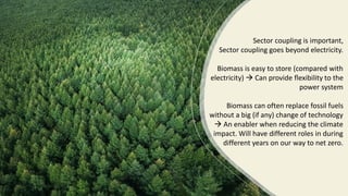 Sector coupling is important,
Sector coupling goes beyond electricity.
Biomass is easy to store (compared with
electricity) → Can provide flexibility to the
power system
Biomass can often replace fossil fuels
without a big (if any) change of technology
→ An enabler when reducing the climate
impact. Will have different roles in during
different years on our way to net zero.
 