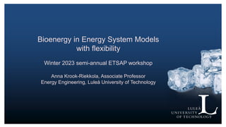 Bioenergy in Energy System Models
with flexibility
Winter 2023 semi-annual ETSAP workshop
Anna Krook-Riekkola, Associate Professor
Energy Engineering, Luleå University of Technology
 