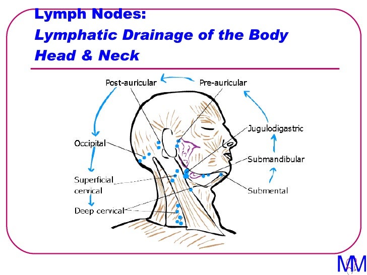 008 Lymph Nodes - Introduction to Clinical Surgery Lectures