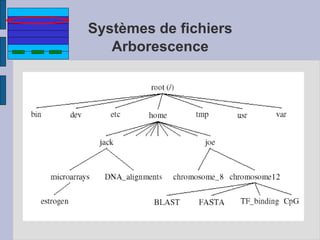 Systèmes de fichiers
Arborescence
 