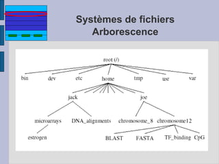 Systèmes de fichiers
Arborescence
 