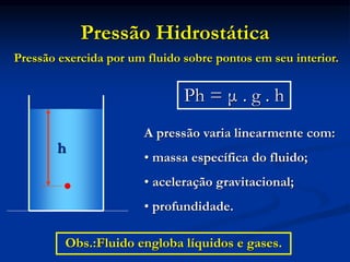 Pressão Hidrostática
Ph = μ . g . h
h
A pressão varia linearmente com:
• massa específica do fluido;
• aceleração gravitacional;
• profundidade.
Pressão exercida por um fluido sobre pontos em seu interior.
Obs.:Fluido engloba líquidos e gases.
 