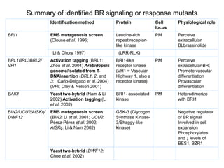 008 Brassinosteroids.ppt