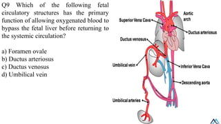 Fetal and regional circulation / Fetal and regional circulation.pdf