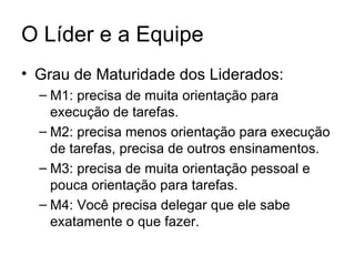 O Líder e a Equipe
• Grau de Maturidade dos Liderados:
  – M1: precisa de muita orientação para
    execução de tarefas.
  – M2: precisa menos orientação para execução
    de tarefas, precisa de outros ensinamentos.
  – M3: precisa de muita orientação pessoal e
    pouca orientação para tarefas.
  – M4: Você precisa delegar que ele sabe
    exatamente o que fazer.
 