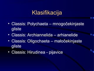 Klasifikacija
• Classis: Polychaeta – mnogočekinjaste
gliste
• Classis: Archiannelida – arhianelide
• Classis: Oligochaeta – maločekinjaste
gliste
• Classis: Hirudinea - pijavice
 