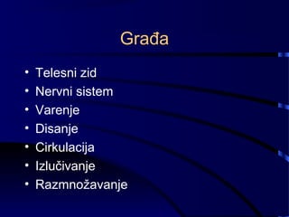 Građa
• Telesni zid
• Nervni sistem
• Varenje
• Disanje
• Cirkulacija
• Izlučivanje
• Razmnožavanje
 