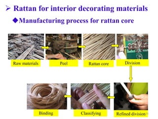 Properties of Rattan Cane and its Comprehensive Utilization Technology ...