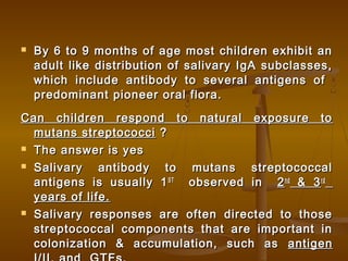  By 6 to 9 months of age most children exhibit anBy 6 to 9 months of age most children exhibit an
adult like distribution of salivary IgA subclasses,adult like distribution of salivary IgA subclasses,
which include antibody to several antigens ofwhich include antibody to several antigens of
predominant pioneer oral flora.predominant pioneer oral flora.
Can children respond to natural exposure toCan children respond to natural exposure to
mutans streptococcimutans streptococci ??
 The answer is yesThe answer is yes
 Salivary antibody to mutans streptococcalSalivary antibody to mutans streptococcal
antigens is usually 1antigens is usually 1STST
observed inobserved in 22ndnd
& 3& 3rdrd
years of life.years of life.
 Salivary responses are often directed to thoseSalivary responses are often directed to those
streptococcal components that are important instreptococcal components that are important in
colonization & accumulation, such ascolonization & accumulation, such as antigenantigen
 