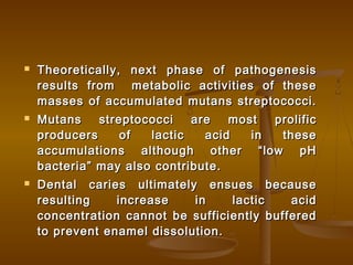  Theoretically, next phase of pathogenesisTheoretically, next phase of pathogenesis
results from metabolic activities of theseresults from metabolic activities of these
masses of accumulated mutans streptococci.masses of accumulated mutans streptococci.
 Mutans streptococci are most prolificMutans streptococci are most prolific
producers of lactic acid in theseproducers of lactic acid in these
accumulations although other “low pHaccumulations although other “low pH
bacteria” may also contribute.bacteria” may also contribute.
 Dental caries ultimately ensues becauseDental caries ultimately ensues because
resulting increase in lactic acidresulting increase in lactic acid
concentration cannot be sufficiently bufferedconcentration cannot be sufficiently buffered
to prevent enamel dissolution.to prevent enamel dissolution.
 