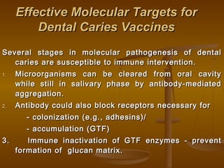 Effective Molecular Targets forEffective Molecular Targets for
Dental Caries VaccinesDental Caries Vaccines
Several stages in molecular pathogenesis of dentalSeveral stages in molecular pathogenesis of dental
caries are susceptible to immune intervention.caries are susceptible to immune intervention.
1.1. Microorganisms can be cleared from oral cavityMicroorganisms can be cleared from oral cavity
while still in salivary phase by antibody-mediatedwhile still in salivary phase by antibody-mediated
aggregation.aggregation.
2.2. Antibody could also block receptors necessary forAntibody could also block receptors necessary for
- colonization (e.g., adhesins)/- colonization (e.g., adhesins)/
- accumulation (GTF)- accumulation (GTF)
3. Immune inactivation of GTF enzymes - prevent3. Immune inactivation of GTF enzymes - prevent
formation of glucan matrix.formation of glucan matrix.
 