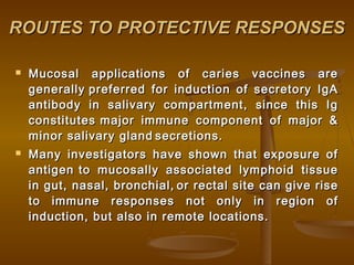 ROUTES TO PROTECTIVE RESPONSESROUTES TO PROTECTIVE RESPONSES
 Mucosal applications of caries vaccines areMucosal applications of caries vaccines are
generallygenerally preferred for induction of secretory IgApreferred for induction of secretory IgA
antibody in salivary compartment, since this Igantibody in salivary compartment, since this Ig
constitutesconstitutes major immune component of major &major immune component of major &
minor salivary glandminor salivary gland secretions.secretions.
 Many investigators have shown that exposure ofMany investigators have shown that exposure of
antigenantigen to mucosally associated lymphoid tissueto mucosally associated lymphoid tissue
in gut, nasal, bronchial,in gut, nasal, bronchial, or rectal site can give riseor rectal site can give rise
to immune responses not only in region ofto immune responses not only in region of
induction, but also in remote locations.induction, but also in remote locations.
 