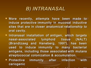 B) INTRANASALB) INTRANASAL
 More recently, attempts have been made toMore recently, attempts have been made to
induce protectiveinduce protective immunity in mucosal inductiveimmunity in mucosal inductive
sites that are in closer anatomicalsites that are in closer anatomical relationship torelationship to
oral cavity.oral cavity.
 Intranasal installation ofIntranasal installation of antigen, which targetsantigen, which targets
nasal-associated lymphoid tissuenasal-associated lymphoid tissue (NALT)(NALT)
(Brandtzaeg and Haneberg, 1997), has been(Brandtzaeg and Haneberg, 1997), has been
used to induceused to induce immunity to many bacterialimmunity to many bacterial
antigens, including those associatedantigens, including those associated with mutanswith mutans
streptococcal colonization & accumulation.streptococcal colonization & accumulation.
 ProtectiveProtective immunity after infection withimmunity after infection with
cariogeniccariogenic
 